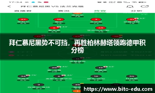 78m威九国际(集团)中国区有限公司-BinG百科