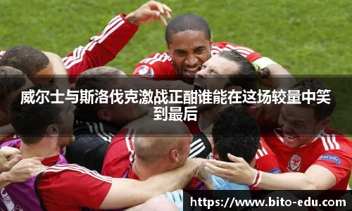 78m威九国际(集团)中国区有限公司-BinG百科