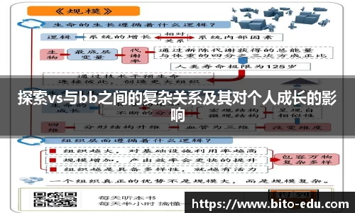 探索vs与bb之间的复杂关系及其对个人成长的影响