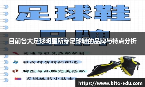78m威九国际(集团)中国区有限公司-BinG百科