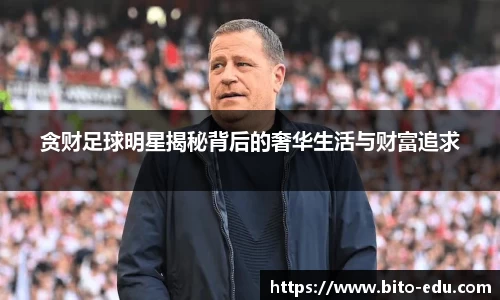 78m威九国际(集团)中国区有限公司-BinG百科